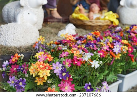 artificiall flower with blurred birth of Jesus for christmas  background
