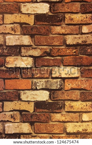 Brick Wall Texture/Brick wall with some bricks lighter colored. Texture and background vertical