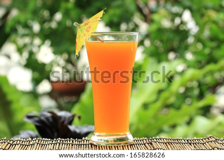 Glass of of orange juice on garden background
