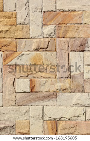 Brick Wall Texture/Brick wall with some bricks lighter colored.