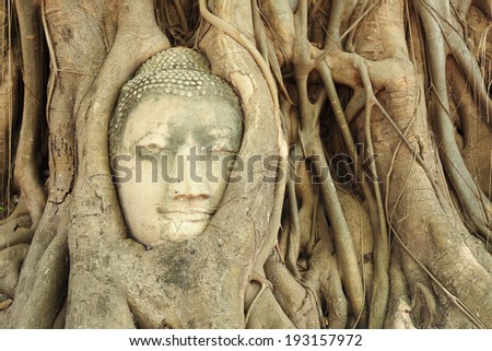 Wat Mahatat Ayutthaya Thailand Buddha head in a tree root