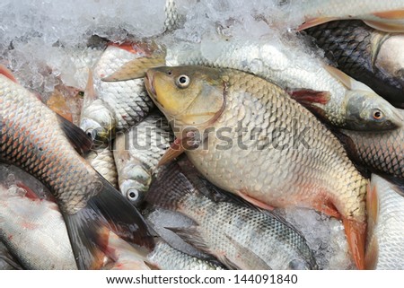small fish background in the basket