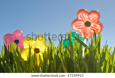 candy flowers in the grass