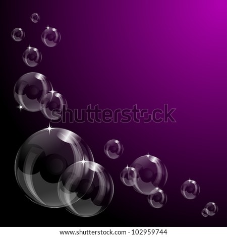 purple soap gum