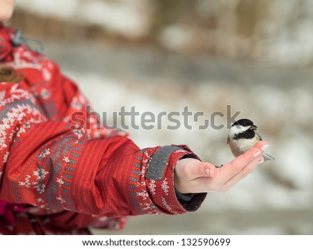 Girl hand-feeding a black-caped chickadee