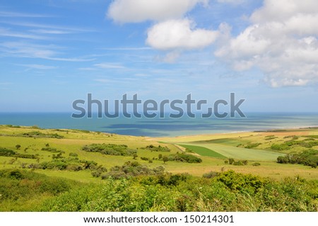 Summer landscape with green grass and clouds