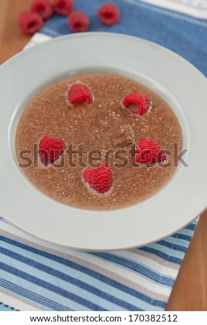 Chocolate Quinoa Milk Rice Pudding with raspberries
