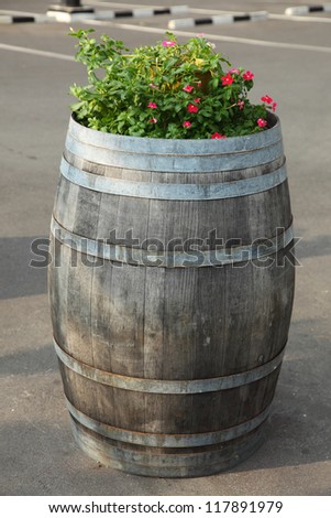 Oak barrels decorate flower