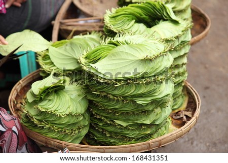 Stack of Betel leaves (Piper Betle) in old town Bangalore. Shredded betel leaves are mixed with ground nuts and lime paste. Men (and women) chew the mixture, called Paan, which produces red saliva.