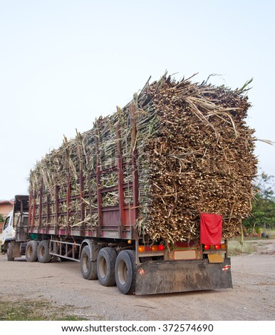 Old truck transporting sugar cane to the factory