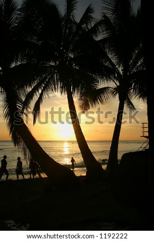 Hawaiian sunset with silhouetted trees and people