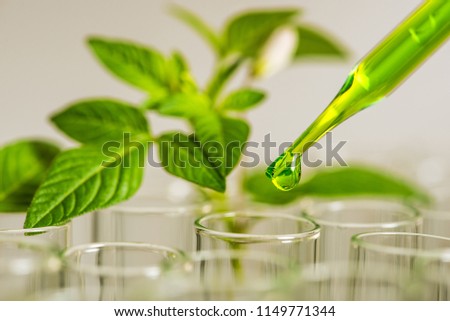pipette over test tube dropping sample chemical into sample herbal plaint , biotechnoloy research concept.