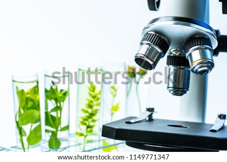 microscope and young plant in science test tube , lab research biochemistry , biotechnology concept.