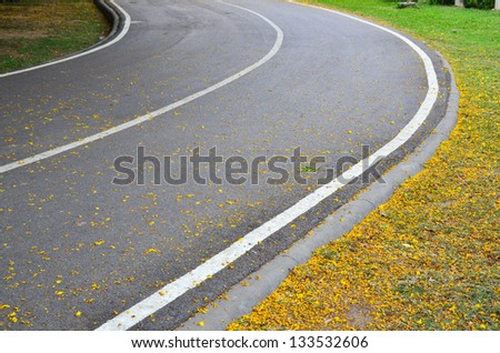 Curved road in park