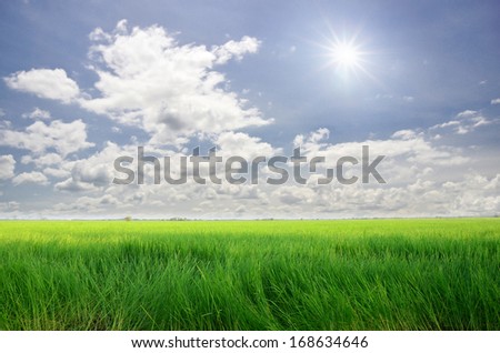 view of country field under cloudy sky and sun