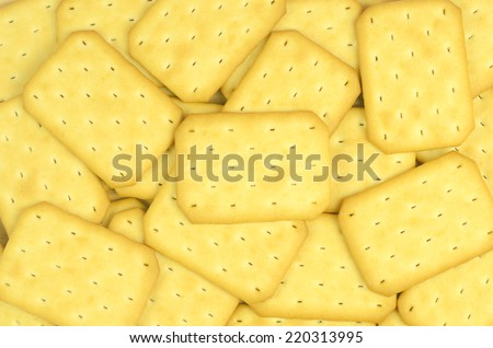Salty crackers in square shape