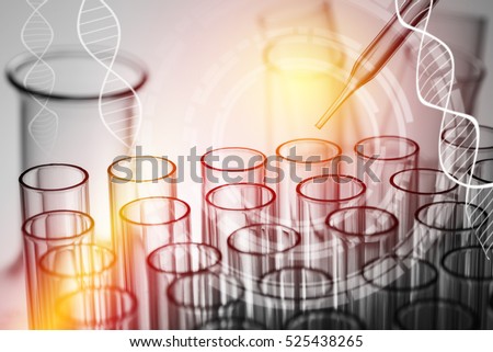 science laboratory dropper on test tube , pharmaceutical research equipment in lab , science concept