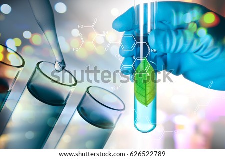 green leaf in laboratory test tube in scientist hand isolated on white background , biotechnology concept