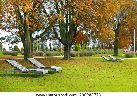 chair for relaxation in the autumn park