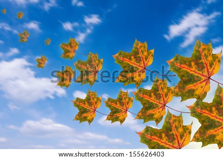flying leaves on cloudy sky in autumn