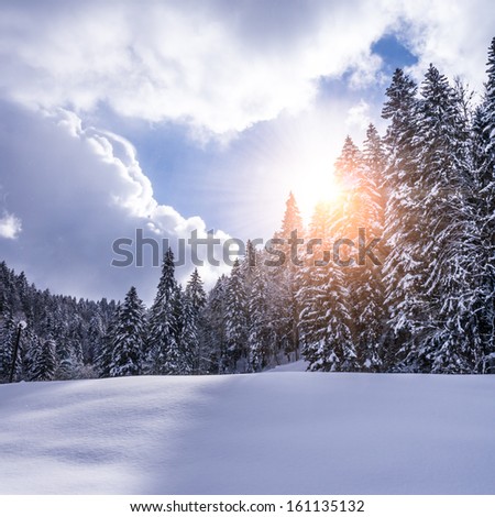 winter landscape with sunshine