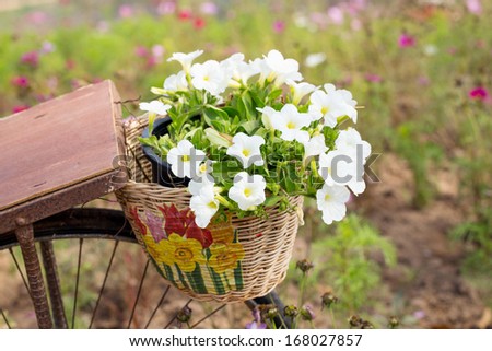 Model of an old bicycle equipped with basket of flowers