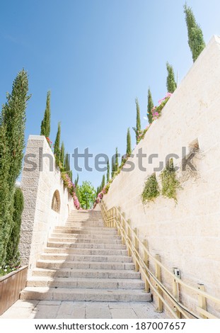 A beautiful path in a garden with rising steps.