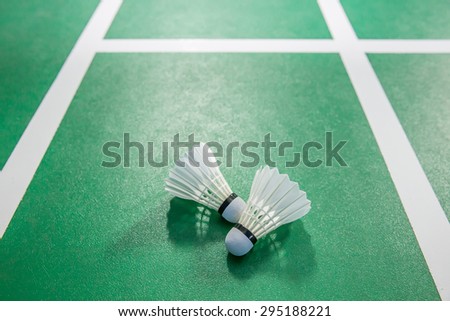 shuttlecock in badminton courts