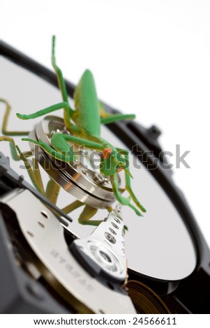computer bug concept - bug on a hard disk studio isolated