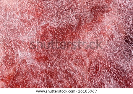 Frozen meat macro. Thin sheet of ice forming on frozen meat.