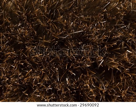 horse hair brush bristles high magnification macro texture