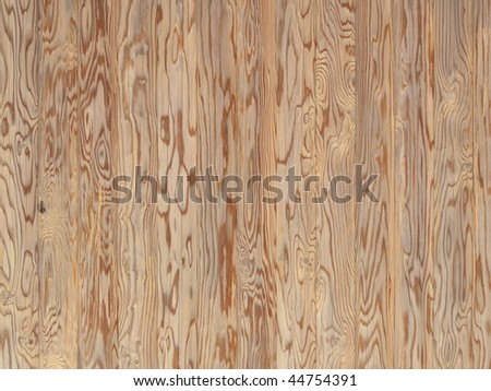 Asian spruce (tsuga) wood paneling texture with magnificent wood grain