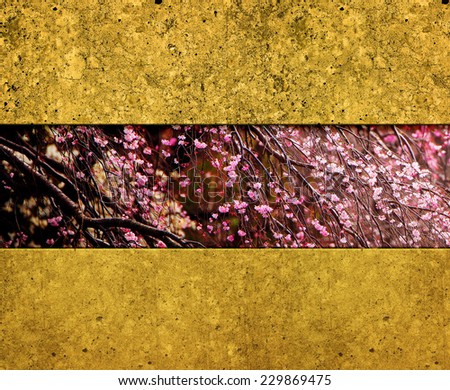 Cherry blossom and gold wall abstract background. Oriental cherry blossom background.
