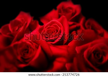 Center of roses. Deep red roses on black background. Focus is on center red rose. Surrounding roses are Intentionally soft focused.