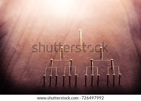Hierarchy, command chain, company / organization structure or layer and grouping concept image.?Top down structure made from gold wires and nails on rustic wooden surface. Shallow depth of field.