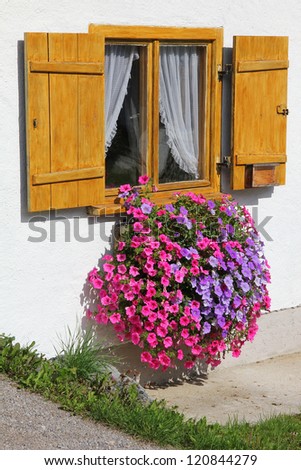 rural window with wooden shutters and full bloom petunias in a flower box