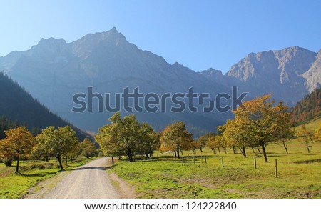 famous austrian hiking trail, valley bottom with maple trees, karwendel alps, austrian landscape