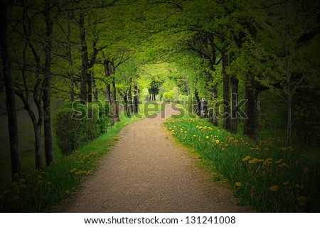 mystical alley through dark beech forest with lighting, fairy landscape