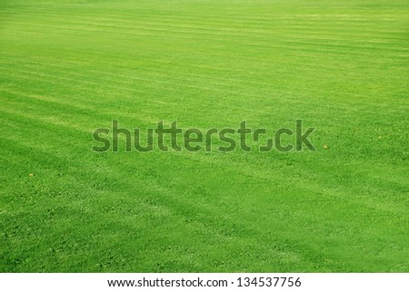 mowed Football ground, green lawn background