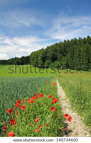 picturesque walkway in the german countryside with read poppies and ray field