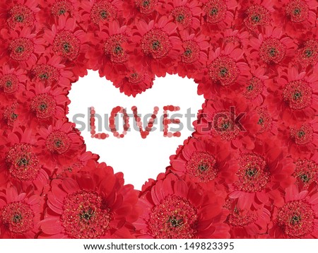 red gerber daisy Background with white love heart