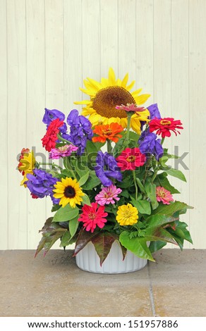 flower basket with autumnal flowers, decoration for thanksgiving