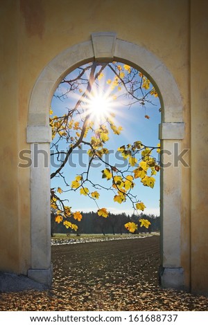 view through arched door, autumnal scenery with bright sunshine and maple leaves