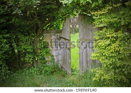 arched garden door, framed with beech leaves