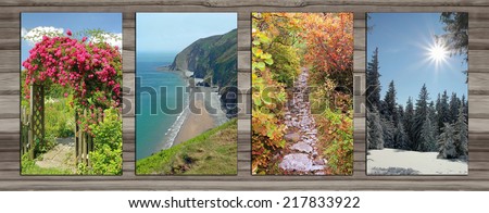 Collage - four seasons on wooden board background. rambler rose arch, coastal landscape, alpine hiking trail in autumn, wintry forest glade.