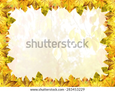 Frame of cutout maple leaves, autumnal colors, design for thanksgiving