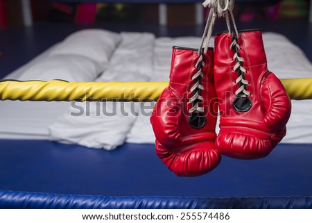 Red & Blue gloves with bed in background
