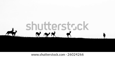 Deer running on a hilltop in strong counter light.
