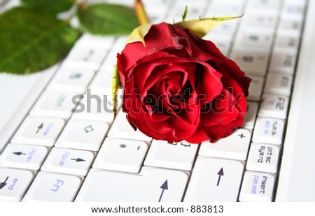 Press Enter for Love, a fresh deep Red Rose is layed across Keyboarde