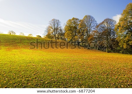 Wide Angle capture with stunning light and Color on abandoned public playing field covered with leaves on a bright cold day during November in Northumberland, England.